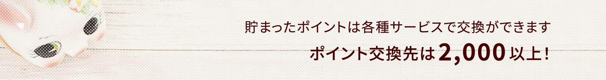 貯まったポイントは各種サービスで交換ができます。ポイント交換先は2,000以上！