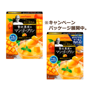 辻口博啓監修 贅沢果実のマンゴープリン