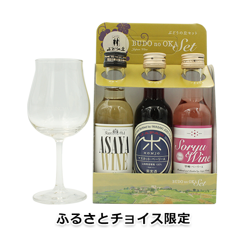 【ふるさとチョイス限定】ぶどうの丘 クォーターワイン3種セット[限定 勝沼 オリジナルワイングラス1脚付]