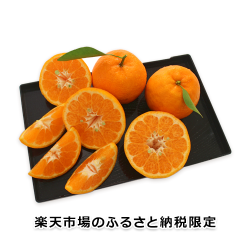 【楽天市場のふるさと納税限定】訳あり ポンカン 約10kg