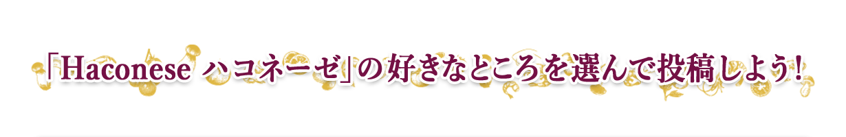 「Haconese ハコネーゼ」の好きなところを選んで投稿しよう！